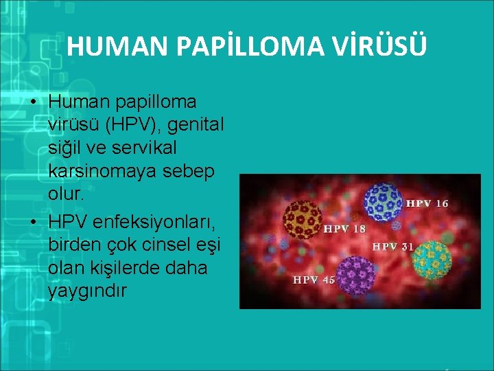 HUMAN PAPİLLOMA VİRÜSÜ • Human papilloma virüsü (HPV), genital siğil ve servikal karsinomaya sebep