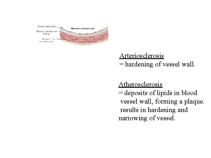 Arteriosclerosis = hardening of vessel wall. Atherosclerosis = deposits of lipids in blood vessel