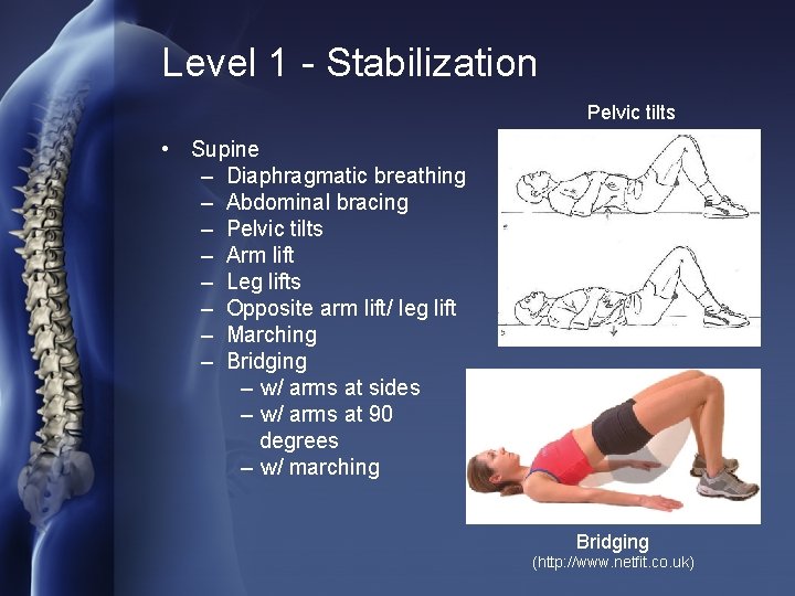 Level 1 - Stabilization Pelvic tilts • Supine – Diaphragmatic breathing – Abdominal bracing
