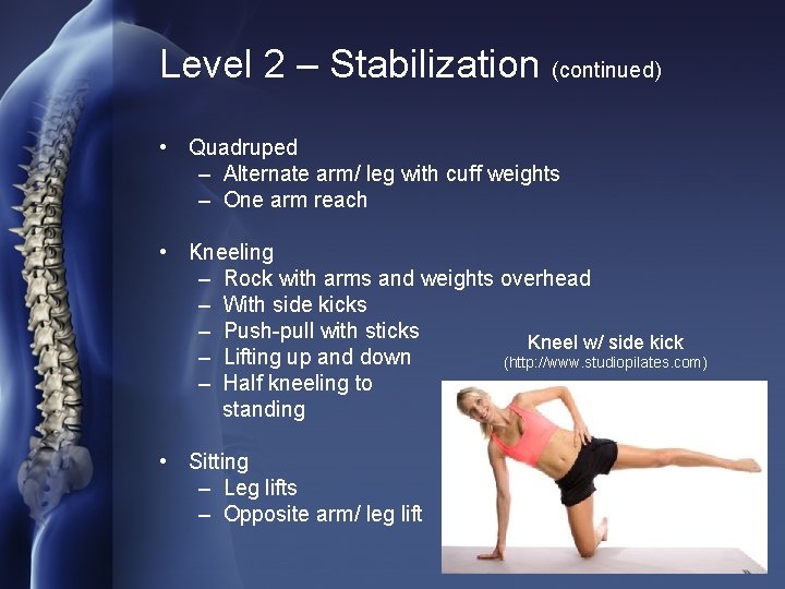 Level 2 – Stabilization (continued) • Quadruped – Alternate arm/ leg with cuff weights
