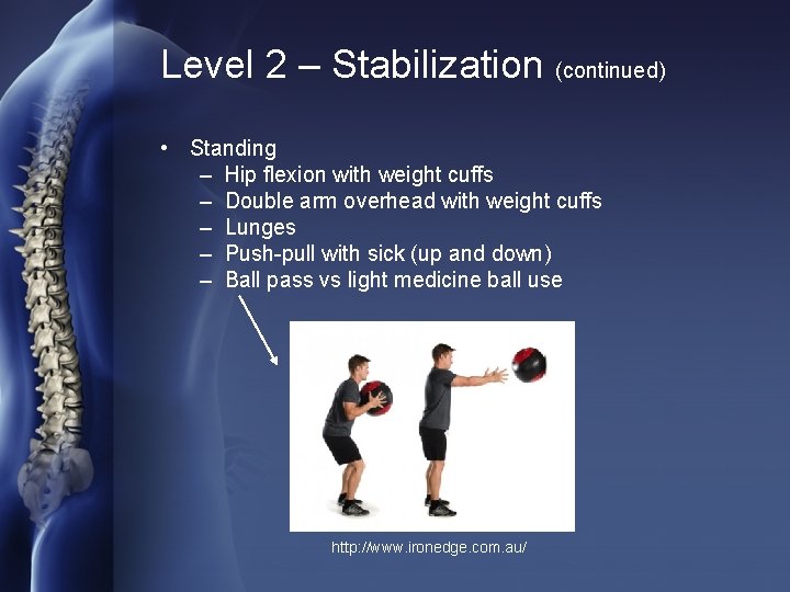 Level 2 – Stabilization (continued) • Standing – Hip flexion with weight cuffs –
