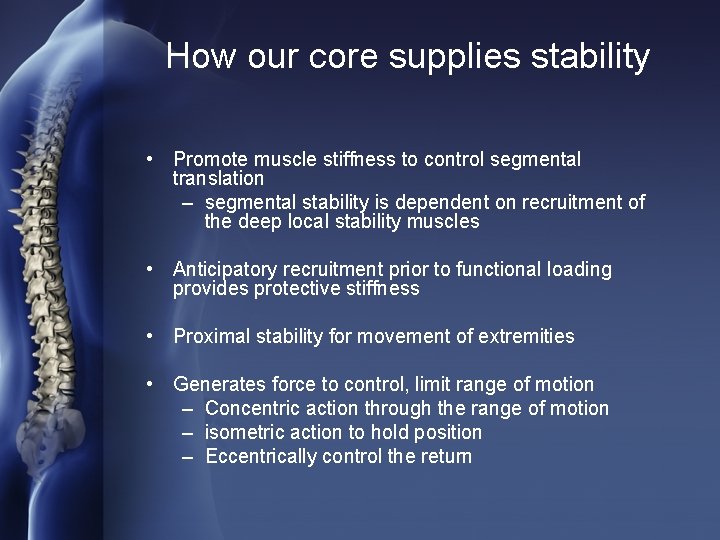 How our core supplies stability • Promote muscle stiffness to control segmental translation –