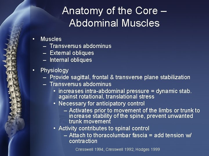 Anatomy of the Core – Abdominal Muscles • Muscles – Transversus abdominus – External
