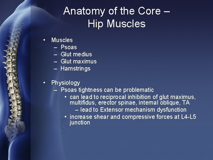 Anatomy of the Core – Hip Muscles • Muscles – Psoas – Glut medius