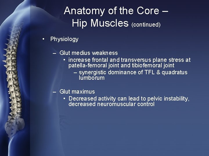 Anatomy of the Core – Hip Muscles (continued) • Physiology – Glut medius weakness