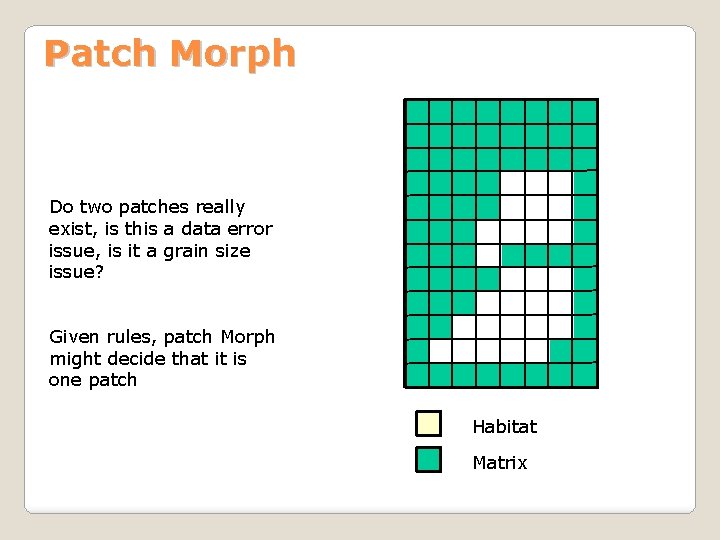 Patch Morph Do two patches really exist, is this a data error issue, is