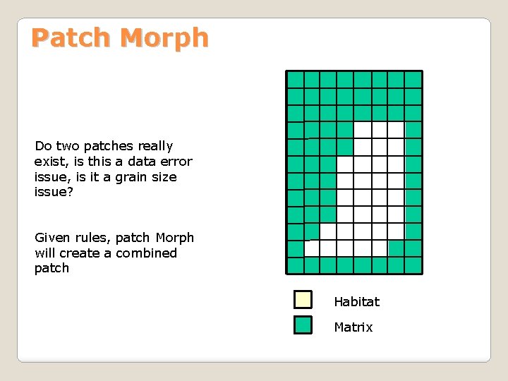 Patch Morph Do two patches really exist, is this a data error issue, is