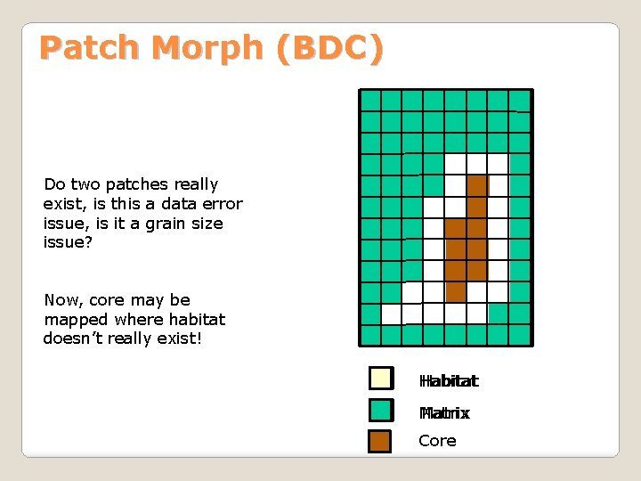 Patch Morph (BDC) Do two patches really exist, is this a data error issue,