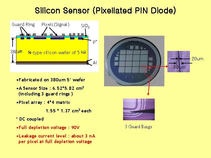 Silicon Sensor (Pixellated PIN Diode) Guard Ring Pixels(Signal) Si. O 2 p+ 380㎛ N-type