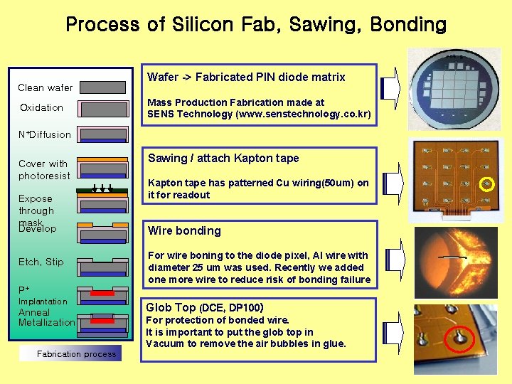 Process of Silicon Fab, Sawing, Bonding Clean wafer Oxidation Wafer -> Fabricated PIN diode