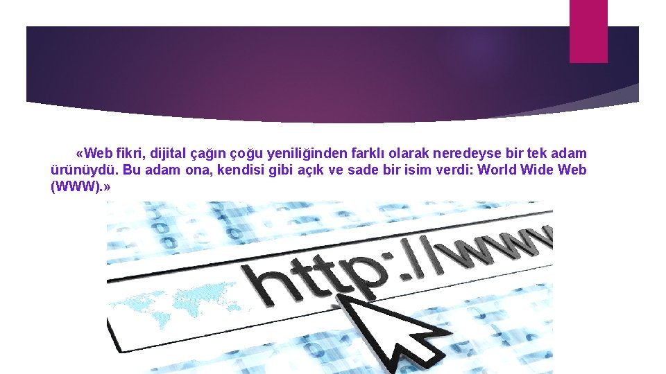  «Web fikri, dijital çağın çoğu yeniliğinden farklı olarak neredeyse bir tek adam ürünüydü.