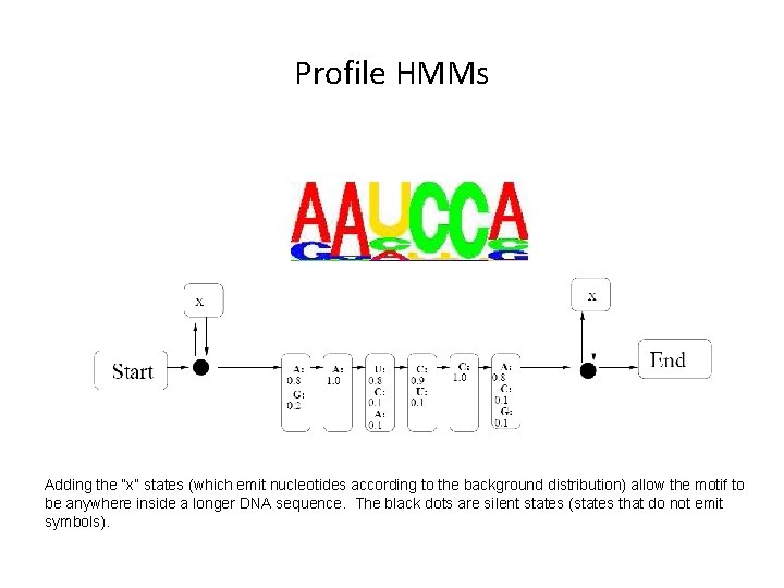Profile HMMs Adding the “x” states (which emit nucleotides according to the background distribution)