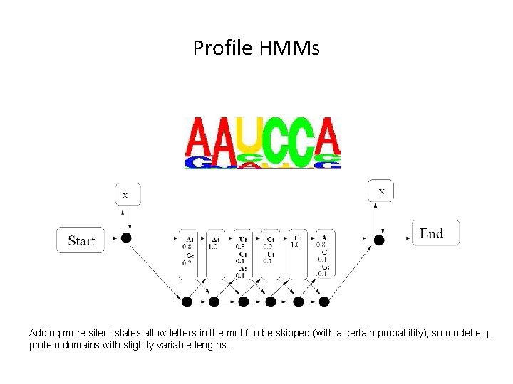 Profile HMMs Adding more silent states allow letters in the motif to be skipped