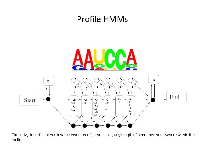 Profile HMMs Similarly, “insert” states allow the insertion of, in principle, any length of