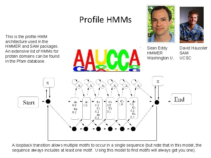 Profile HMMs This is the profile HMM architecture used in the HMMER and SAM