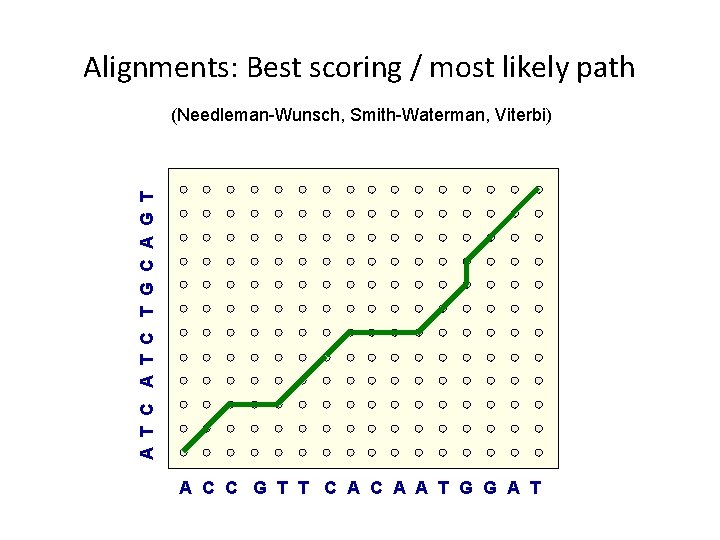 Alignments: Best scoring / most likely path A T C T G C A