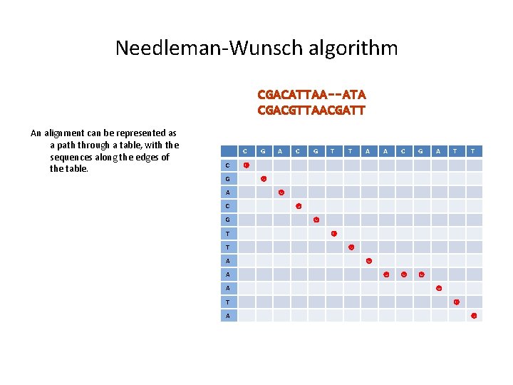 Needleman-Wunsch algorithm CGACATTAA--ATA CGACGTTAACGATT An alignment can be represented as a path through a