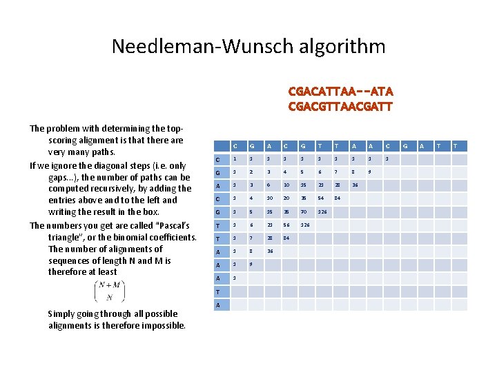 Needleman-Wunsch algorithm CGACATTAA--ATA CGACGTTAACGATT The problem with determining the topscoring alignment is that there