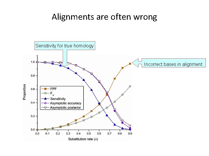 Alignments are often wrong Sensitivity for true homology Incorrect bases in alignment 