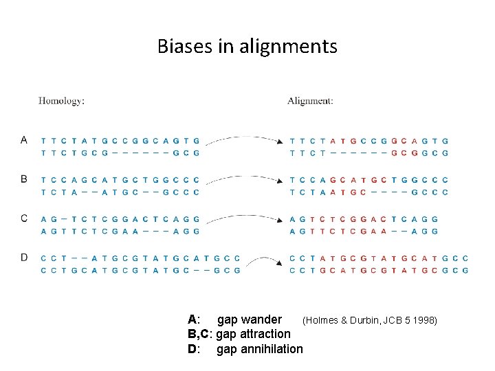 Biases in alignments A: gap wander (Holmes & Durbin, JCB 5 1998) B, C: