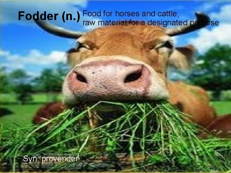 for horses and cattle; Fodder (n. ) Food raw material for a designated purpose