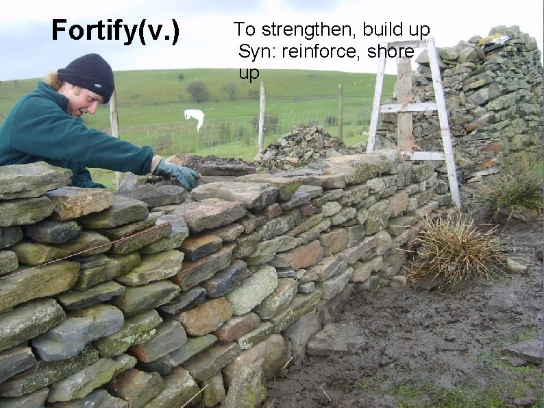 Fortify(v. ) To strengthen, build up Syn: reinforce, shore up 