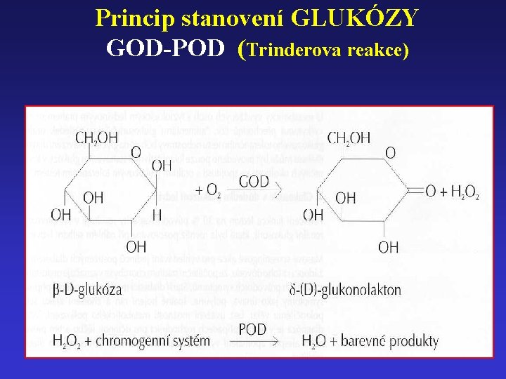 Princip stanovení GLUKÓZY GOD-POD (Trinderova reakce) 