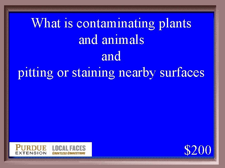 What is contaminating plants and animals and pitting or staining nearby surfaces 1 -