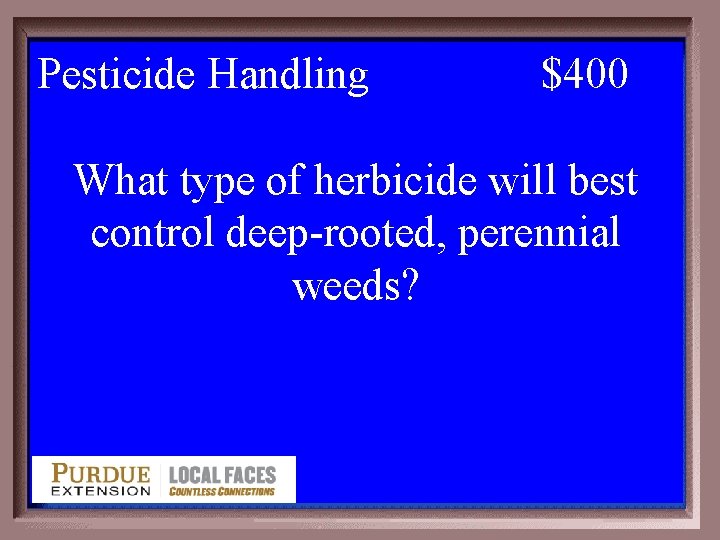 Pesticide Handling 2 -400 $400 What type of herbicide will best control deep-rooted, perennial