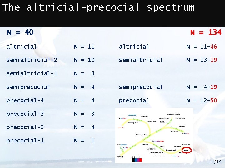 The altricial-precocial spectrum N = 40 N = 134 altricial N = 11 -46