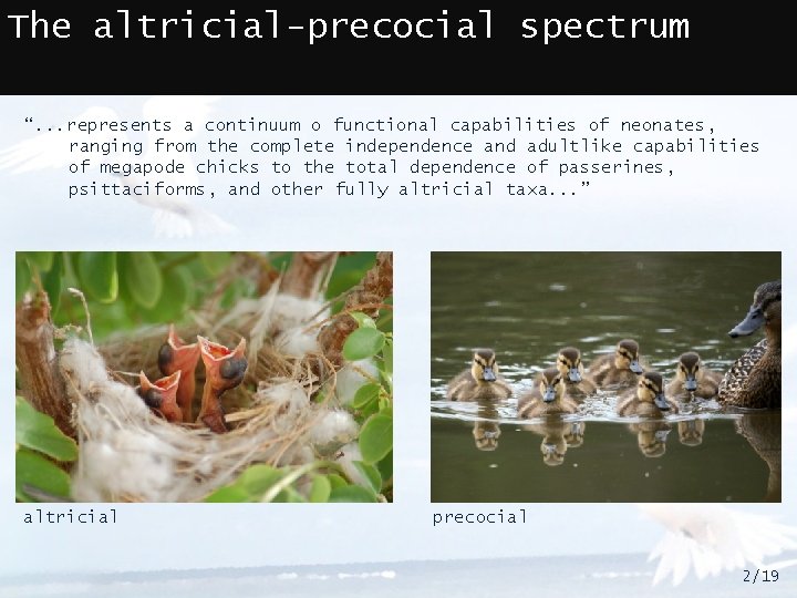 The altricial-precocial spectrum “. . . represents a continuum o functional capabilities of neonates,