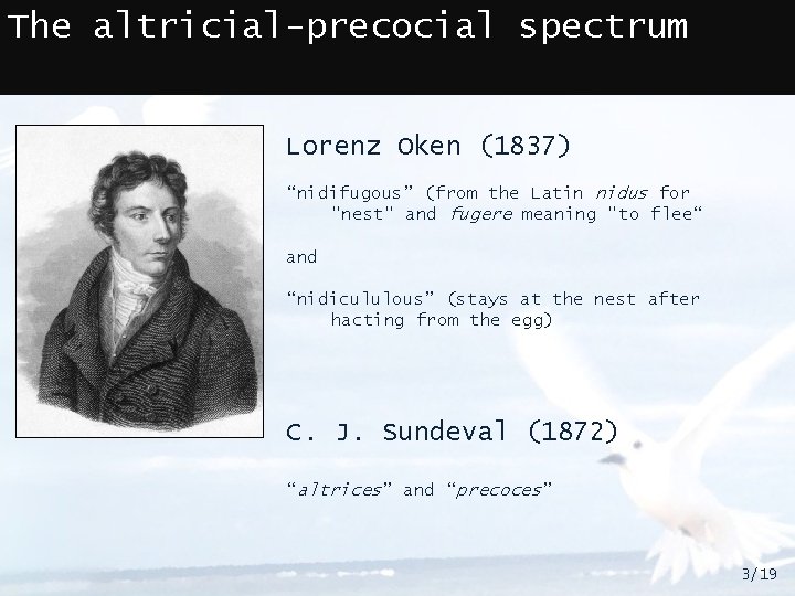 The altricial-precocial spectrum Lorenz Oken (1837) “nidifugous” (from the Latin nidus for "nest" and