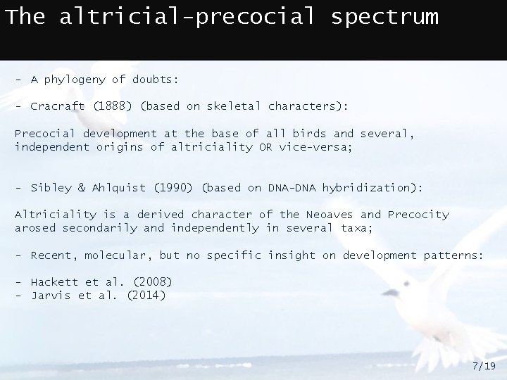 The altricial-precocial spectrum - A phylogeny of doubts: - Cracraft (1888) (based on skeletal