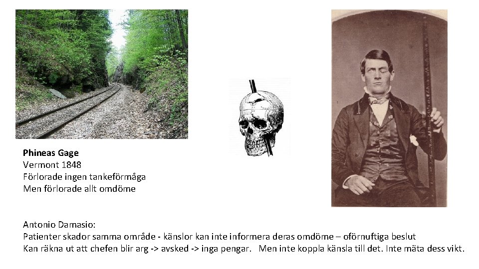 Phineas Gage Vermont 1848 Förlorade ingen tankeförmåga Men förlorade allt omdöme Antonio Damasio: Patienter