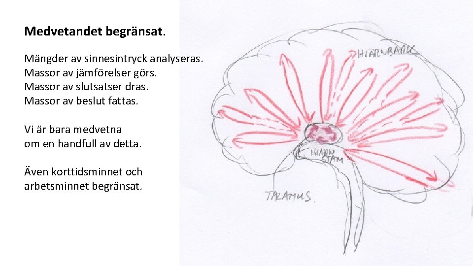 Medvetandet begränsat. Mängder av sinnesintryck analyseras. Massor av jämförelser görs. Massor av slutsatser dras.