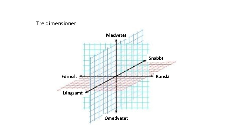 Tre dimensioner: Medvetet Snabbt Förnuft Känsla Långsamt Omedvetet 