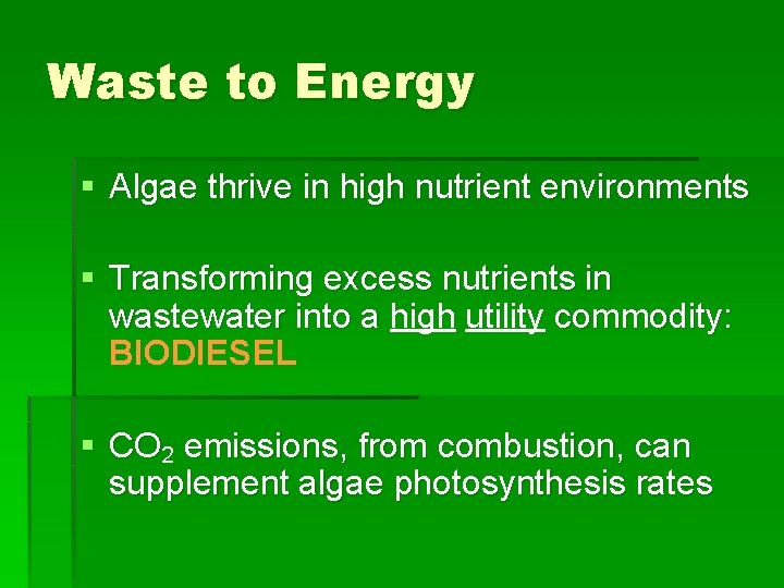 Waste to Energy § Algae thrive in high nutrient environments § Transforming excess nutrients