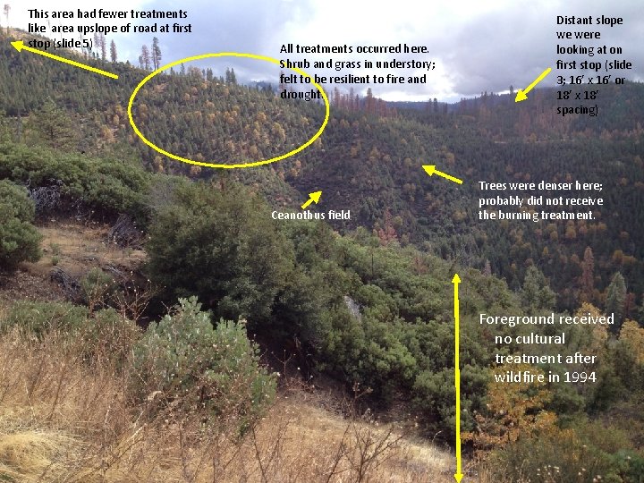 This area had fewer treatments like area upslope of road at first stop (slide