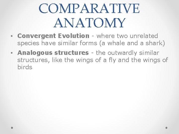 COMPARATIVE ANATOMY • Convergent Evolution - where two unrelated species have similar forms (a