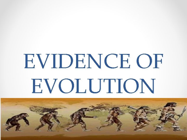 EVIDENCE OF EVOLUTION P. 283 -285 