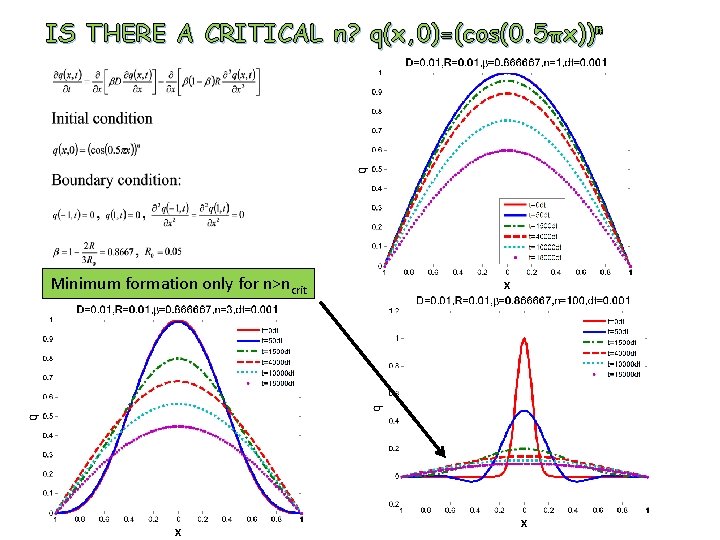 IS THERE A CRITICAL n? q(x, 0)=(cos(0. 5πx))n Minimum formation only for n>ncrit 