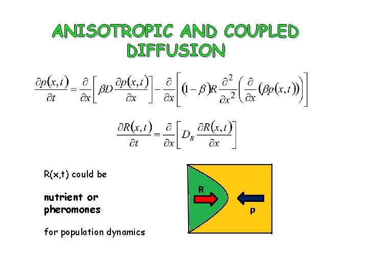 ANISOTROPIC AND COUPLED DIFFUSION R(x, t) could be nutrient or pheromones for population dynamics