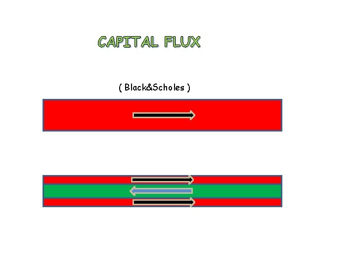 CAPITAL FLUX ( Black&Scholes ) 