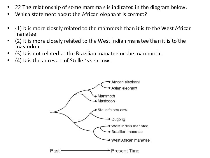  • 22 The relationship of some mammals is indicated in the diagram below.