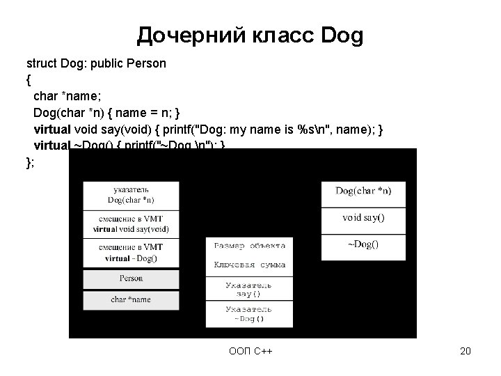 Дочерний класс Dog struct Dog: public Person { char *name; Dog(char *n) { name