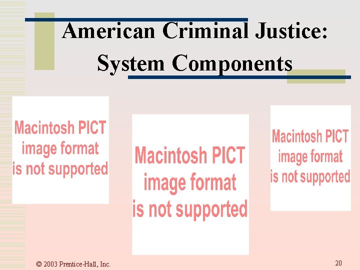 American Criminal Justice: System Components © 2003 Prentice-Hall, Inc. 20  American Criminal Justice: System Components © 2003 Prentice-Hall, Inc. 20