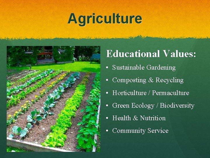 Agriculture Educational Values: • Sustainable Gardening • Composting & Recycling • Horticulture / Permaculture