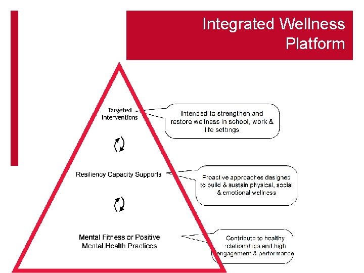Integrated Wellness Platform 