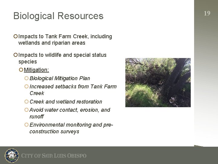 Biological Resources ¡ Impacts to Tank Farm Creek, including wetlands and riparian areas ¡