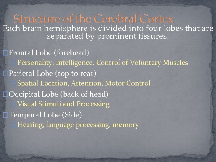Structure of the Cerebral Cortex Each brain hemisphere is divided into four lobes that
